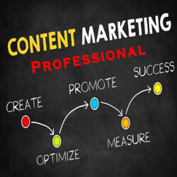 Content Marketing Professional Service